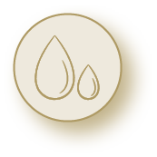 Ellygant Esthétique - Logo